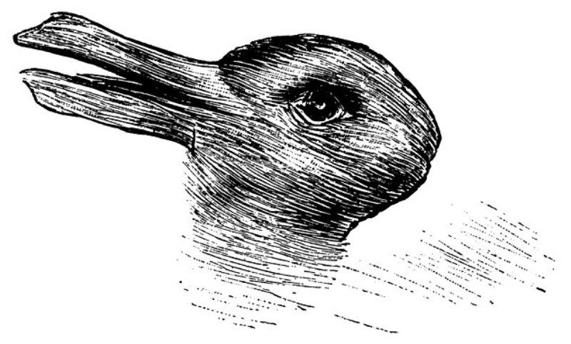 Η εικόνα που έχει «μπερδέψει» τα social media: Εσείς βλέπετε μια πάπια ή ένα κουνέλι; (Photos) - Media