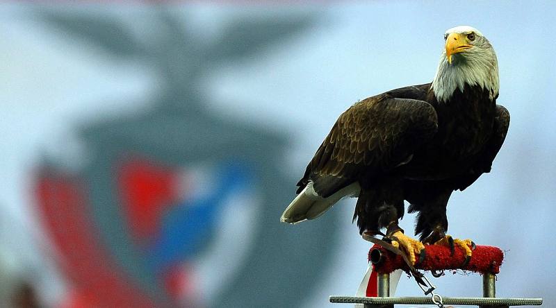 Στα πρότυπα της Μπενφίκα ο ΠΑΟΚ: Απέκτησε τον δικό του αετό (Video) - Media