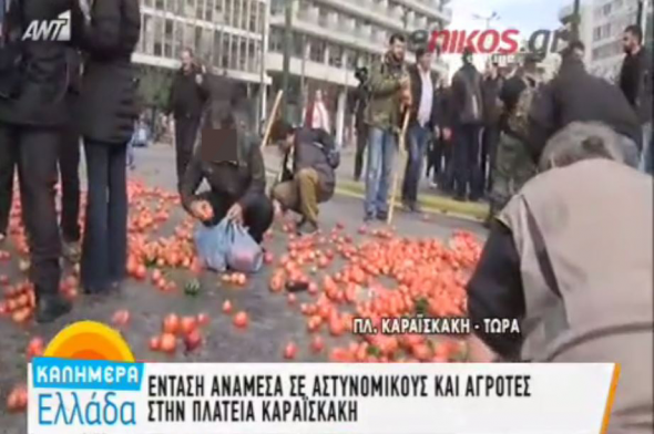 Φωτογραφία που συγκλονίζει: Μαζεύει σε σακούλα ντομάτες που πέταξαν στον δρόμο οι αγρότες (Photo) - Media
