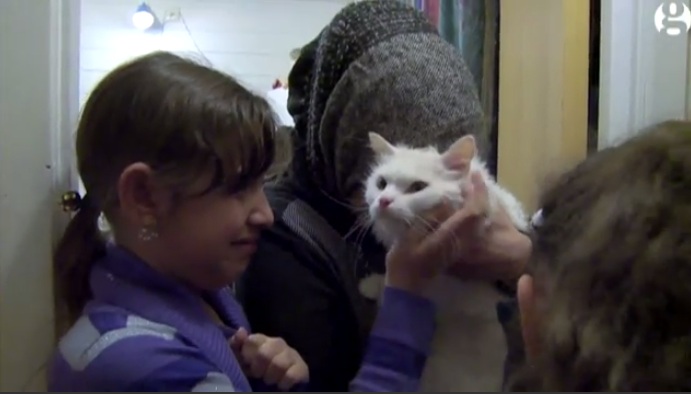 Το απίστευτο ταξίδι του γάτου – πρόσφυγα για να ξαναβρεί την οικογένειά του (Video) - Media