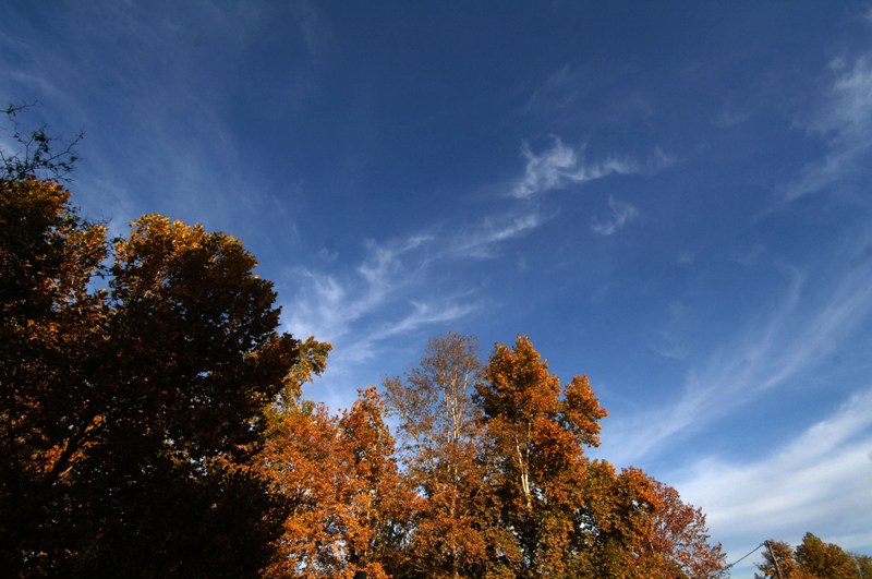 Φθινοπωριάζει...ξανά- Πέφτει η θερμοκρασία - Media