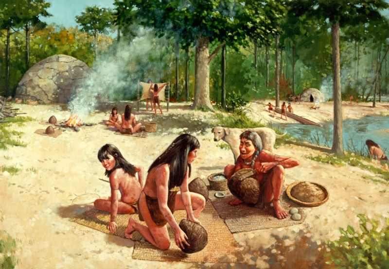 Τι φαγητά έτρωγαν 9.000 χρόνια πριν, οι κάτοικοι του Ελλαδικού χώρου; - Media