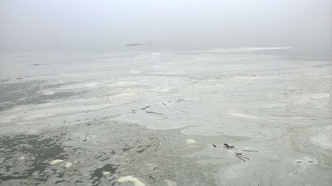 Εκτεταμένη ρύπανση στη λίμνη των Ιωαννίνων από άγνωστη αιτία (Photos) - Media