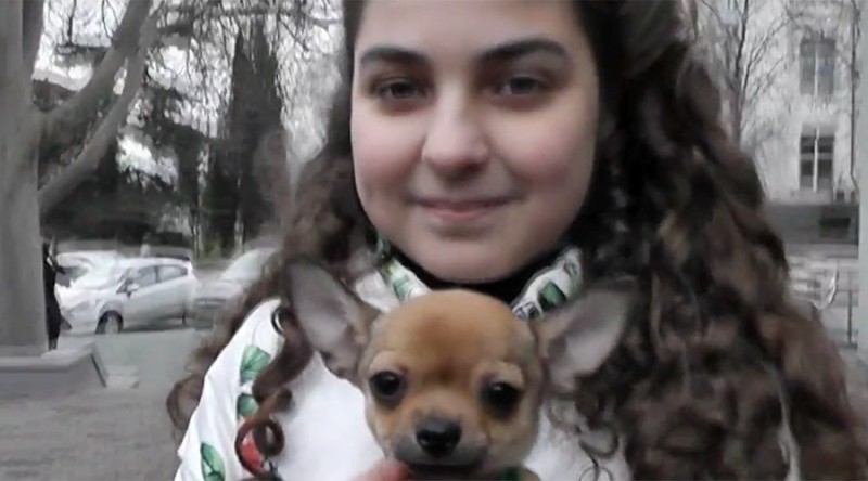 Ο Πούτιν έκανε δώρο τσιουάουα σε 11χρονη! (Photos + Video) - Media