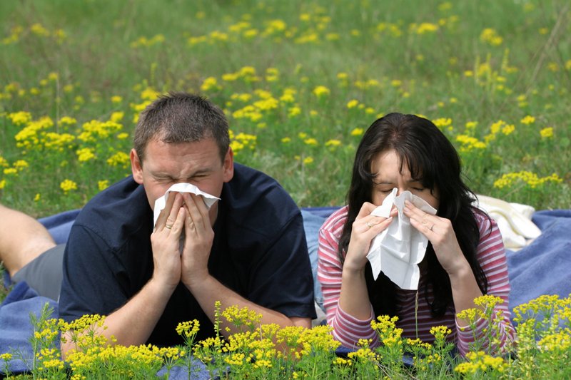 Αλλεργίες; 4 συμβουλές για να θωρακίσετε το σπίτι σας - Media