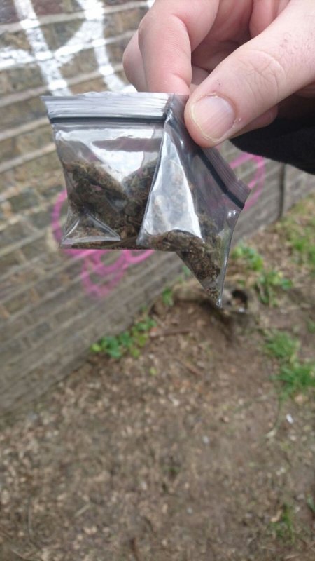 Αστυνομικός «τρόλλαρε» έμπορο ναρκωτικών όταν ανακάλυψε κρυψώνα κάνναβης (Photo) - Media