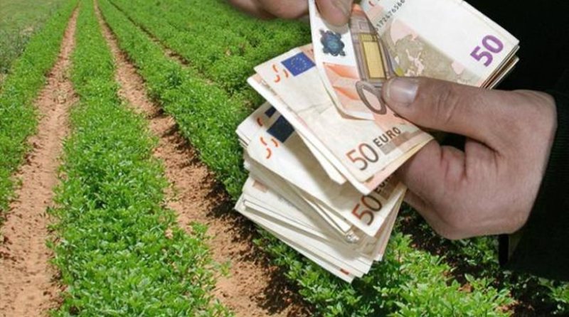 Ξεκινούν οι αιτήσεις για το πρόγραμμα επιδότησης 12.000 νέων αγροτών - Media