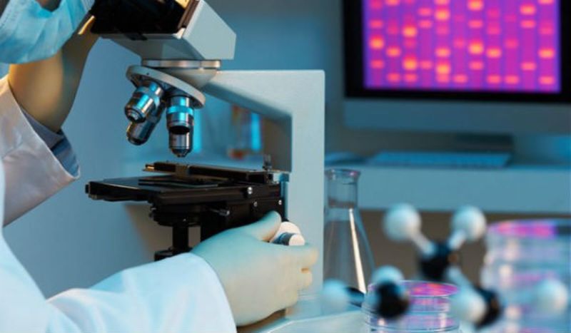 BBC: «Τι γεύση έχει η ανθρώπινη σάρκα;»(Video) - Media