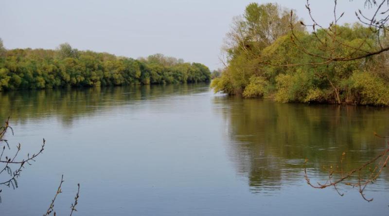 Τούρκος συνελήφθη στον Έβρο με 13.500 φιαλίδια υγρού για ηλεκτρονικό τσιγάρο - Media
