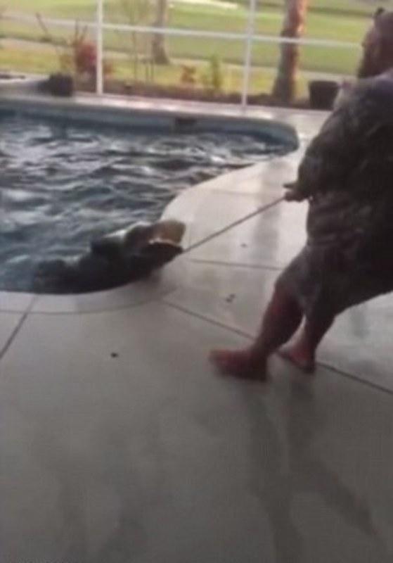 «Εσείς θα κολυμπούσατε σε ένα ενυδρείο με κροκόδειλους;» Καταφύγιο αγρίας ζωής στην Αυστραλία μπορεί να πραγματοποιήσει την επιθυμία σας (Photos - Video) - Media