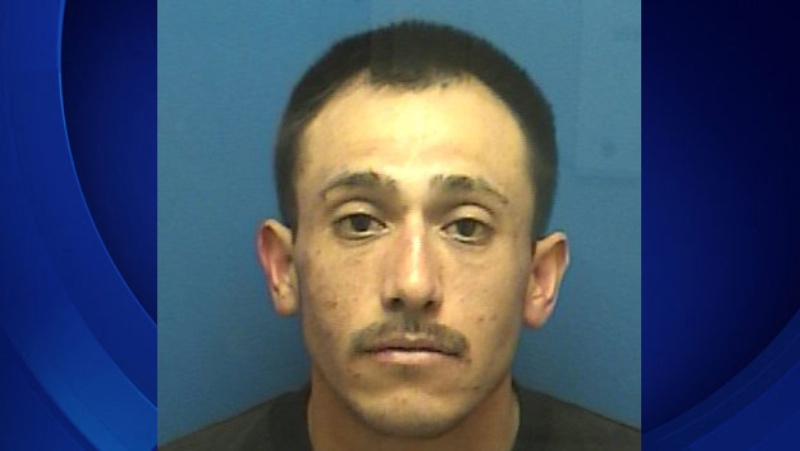 Έβαλε φωτιά σε λαγό που είχε αρπάξει από τα αυτιά... - Media