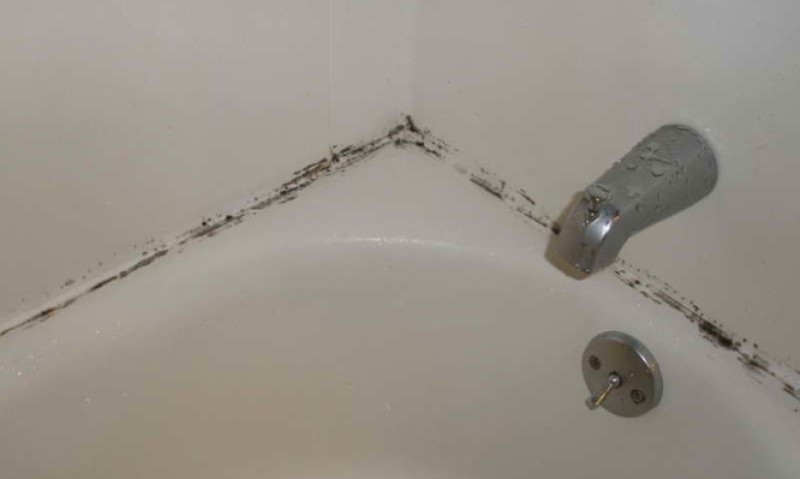 Πώς θα βγάλετε την μούχλα από κάθε δύσκολο σημείο στο σπίτι (Photo) - Media