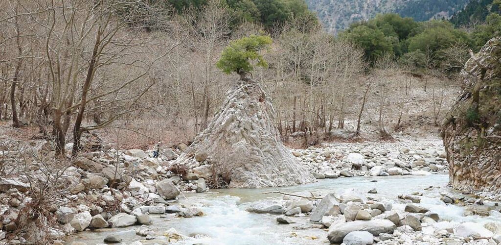 Αργιθέα, όπως Θερμοπύλες… - Media