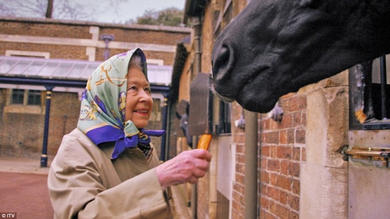 Ποια είναι η συμπαθητική γιαγιούλα που φόρεσε το… τσεμπέρι της και ταΐζει το άλογο με καρότο; (Photo) - Media