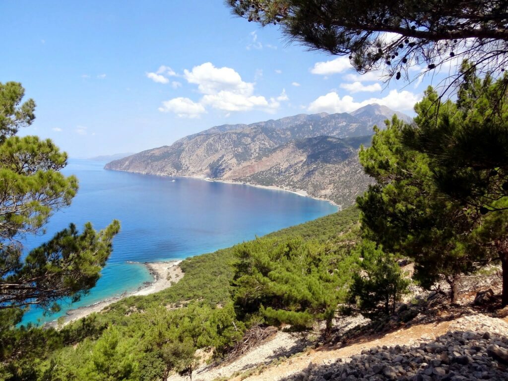 Πυρκαγιά στα Σφακιά - Καίγεται το πανέμορφο δάσος της Σελούδας - Media