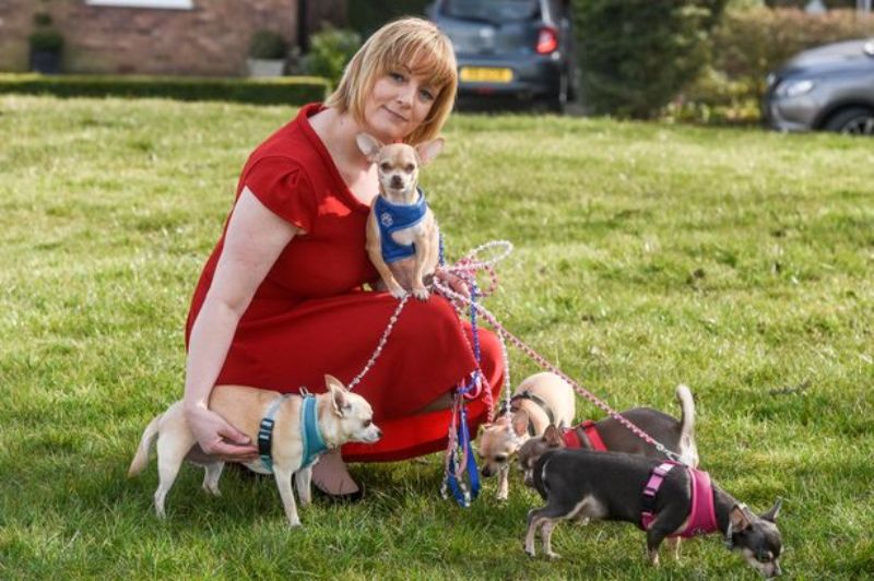 Έδωσε 6.000 λίρες για να κάνει «μπάτσελορ» στον σκύλο της (Photos) - Media