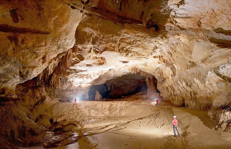 Σπουδαία ανακάλυψη στην Κίνα: Βρήκαν σπηλιά με άγνωστα είδη φυτών και ζώων (Photos-Video) - Media