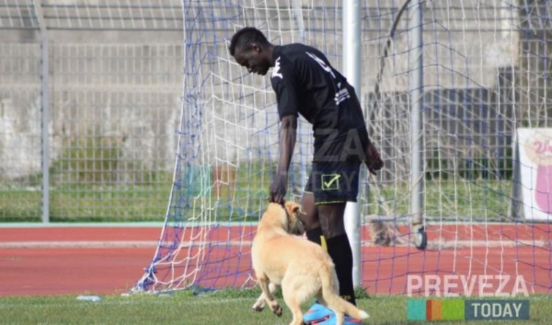Πρέβεζα: «Ντου» 4ποδου ...οπαδού στον αγώνα Πρέβεζας-Βόνιτσας (Photos) - Media