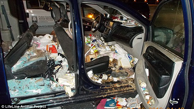 Συνελήφθησαν μητέρα και κόρη γιατί ζούσαν με… 38 γάτες σε βρώμικο βανάκι (Photos) - Media