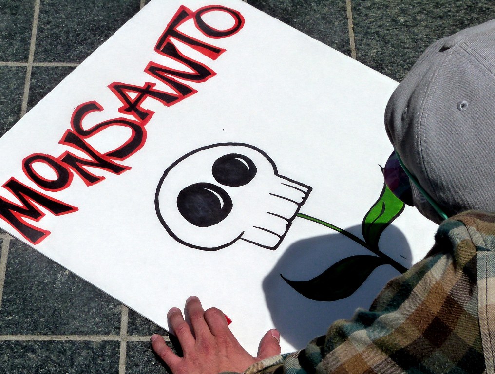 Ευρωπαϊκό Κοινοβούλιο: Ψήφισε υπέρ ύποπτου για καρκινογένεση ζιζανιοκτόνου της Monsanto! - Media