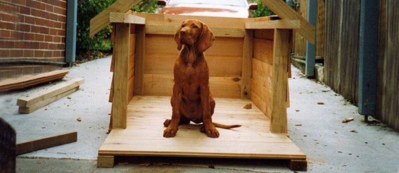Πώς να κατασκευάσετε μόνοι σας ένα σκυλόσπιτο (Photos + Videos) - Media
