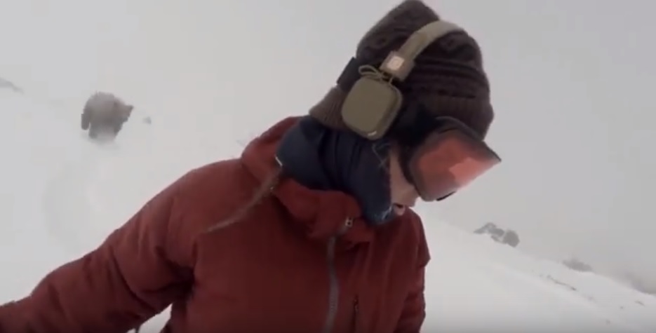 Δεν είχε καταλάβει ότι την κυνηγούσε μια αρκούδα ενώ έκανε snowboard! (Video) - Media