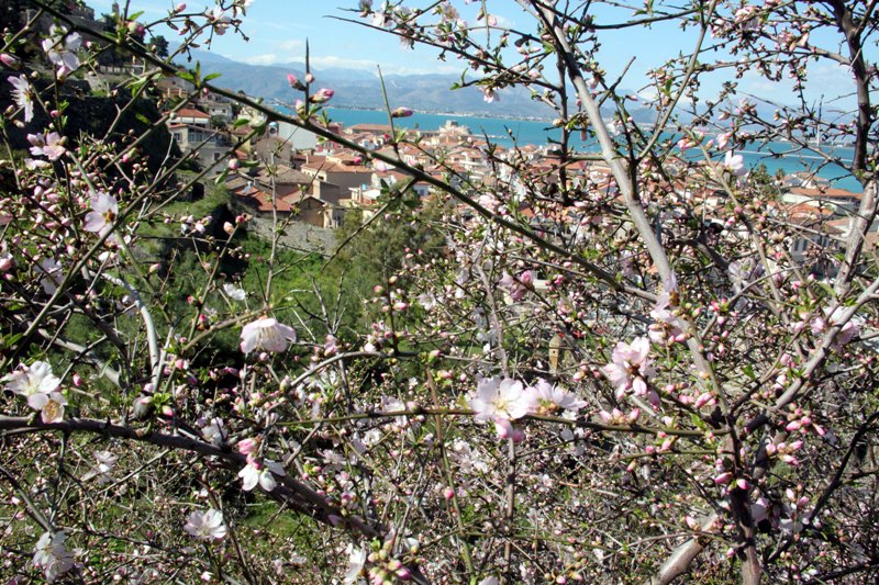Ζεστός καιρός με αφρικανική σκόνη- Πτώση της θερμοκρασίας από Τετάρτη - Media