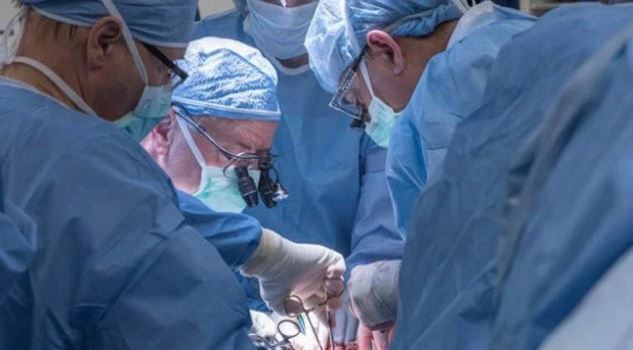 Απέτυχε η πρώτη μεταμόσχευση μήτρας στις ΗΠΑ – Ο ελληνικής καταγωγής χειρουργός εξηγεί τι έφταιξε - Media