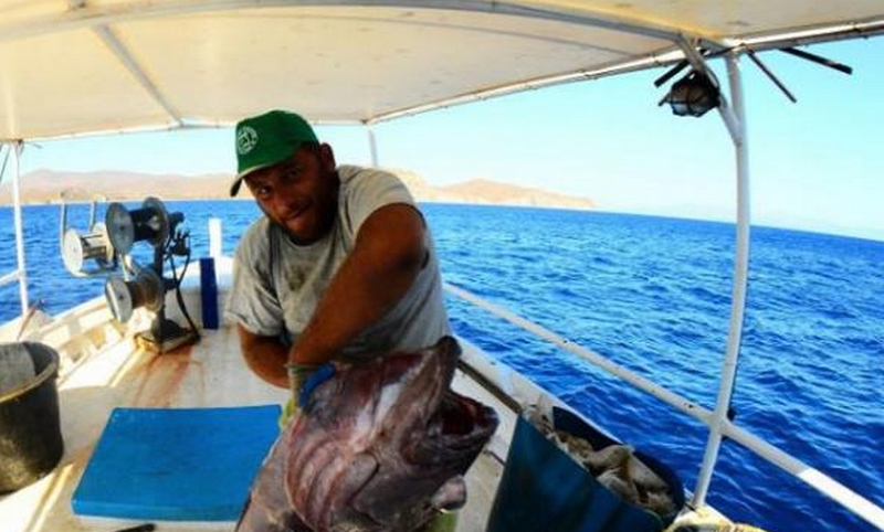 Ψαράς έκανε την ψαριά της ζωής του – Τραβούσε το καλάμι του και είδε ότι είχε πιάσει έναν κροκόδειλο (Video)  - Media