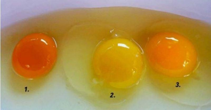 Ποιος από αυτούς τους κρόκους αυγού είναι πιο υγιεινός; (Photo) - Media