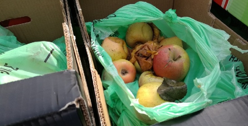 Θεσσαλονίκη: Έστειλαν σάπια και μουχλιασμένα τρόφιμα για τους άπορους (Photos) - Media