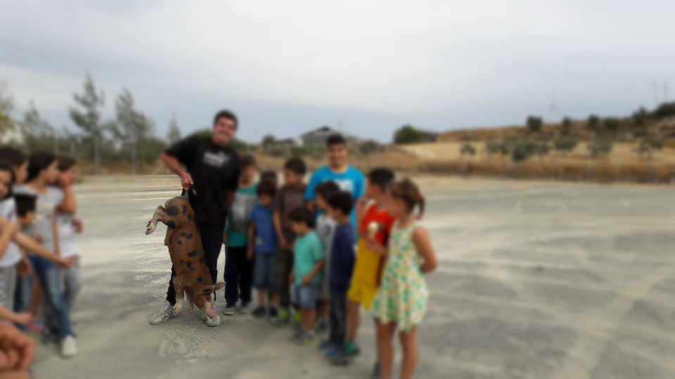Κύπρος: Nηπιαγωγός διοργάνωσε πασχαλινή γιορτή με βασανισμό γουρουνιού (Photos) - Media