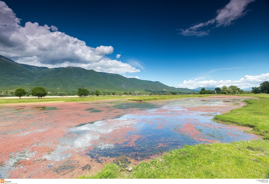 Το θερμόμετρο «ανεβαίνει»: Στους 28 βαθμούς η θερμοκρασία - Media
