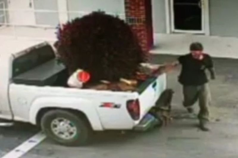 Έκλεψε... θάμνους από μια εκκλησία για να τους γυρίσει ξανά πίσω (Video)  - Media