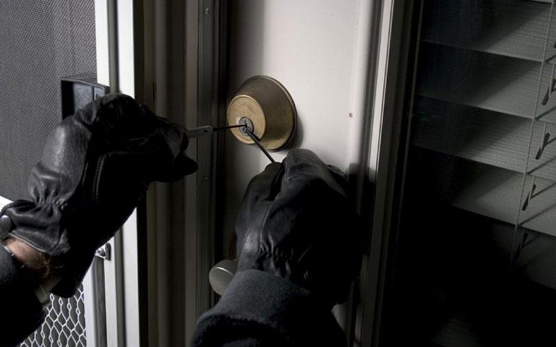 Στη δημοσιότητα οι φωτογραφίες των μελών σπείρας που είχε «ρημάξει» τη Λούτσα - Όλοι Έλληνες - Media