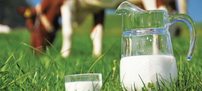 «Φρέσκο» γάλα διάρκειας 100 ημερών - Media
