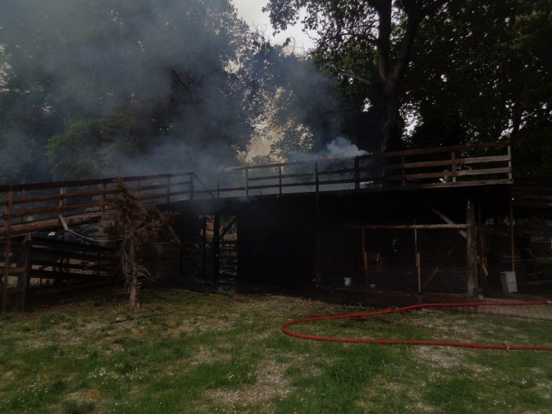 Ο Δήμος Τρικκαίων απαντά στους «δήθεν επαναστάτες» εμπρηστές του Μύλου Ματσόπουλου - Media