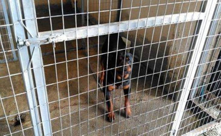 Η σπαρακτική κατάθεση της μητέρας του 5χρονου (Video) - Media