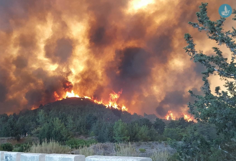 Ρόδος: Ανεξέλεγκτη πυρκαγιά απειλεί 4 χωριά (Video) - Media