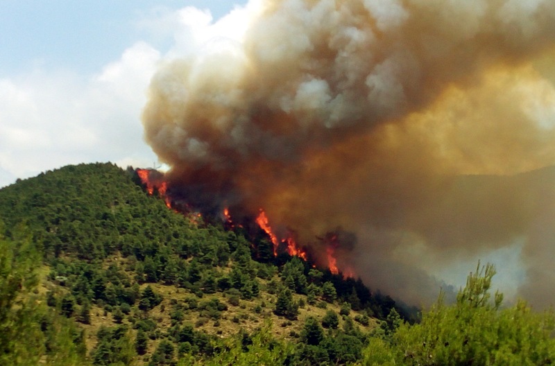 Μεγάλη πυρκαγιά κατακαίει δάσος στα Δερβενοχώρια  - Media