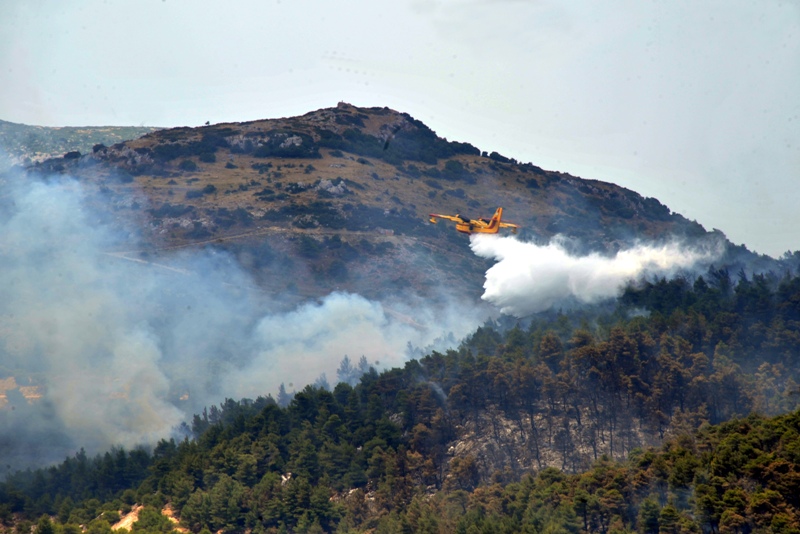 Η νεροποντή έσβησε την πυρκαγιά στα Δερβενοχώρια - Media