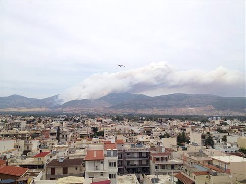 Σε εξέλιξη η μεγάλη πυρκαγιά στα Μέγαρα - Συνελήφθη 52χρονος   - Media