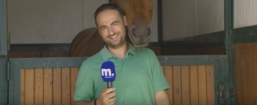 Άλογο «φλερτάρει» με δημοσιογράφο του Μακεδονία Tv (Video) - Media