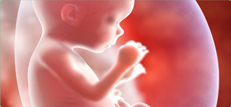 Τα πρώτα «μωρά από τρεις γονείς» αναμένεται να γεννηθούν μέσα στο 2017 - Media