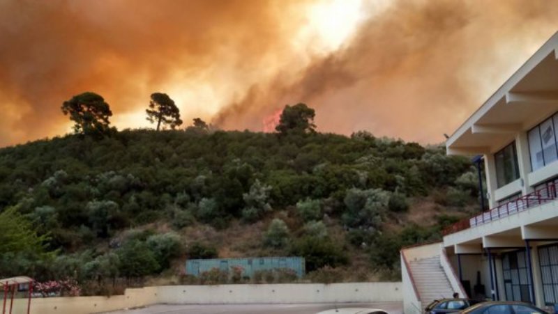 Στο έλεος πυρκαγιάς η Χαλκιδική - Κάηκαν αποθήκες του Πόρτο Καρράς (Photos - Video) - Media