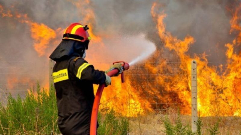 Μάχη με τις φλόγες και στις Γούρνες Ηρακλείου - Media