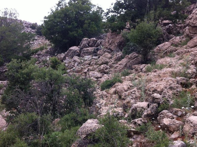 Απίστευτη φωτογραφία: Μπορείτε να βρείτε τους Ισραηλινούς στρατιώτες; - Media