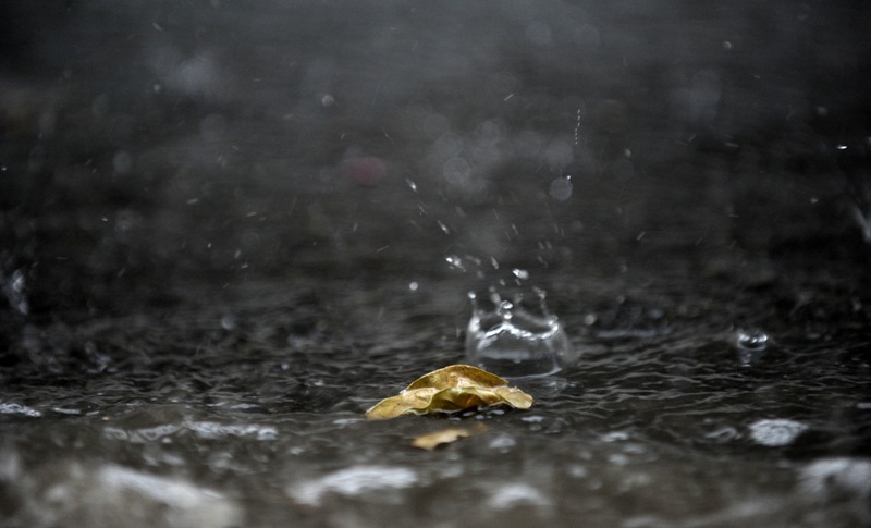 Συνεχίζεται η κακοκαιρία με βροχές και ισχυρούς ανέμους - Media