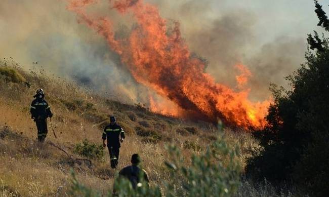 Υπό έλεγχο η φωτιά στην Τιθορέα - Εκδηλώθηκε ταυτόχρονα σε πέντε σημεία - Media