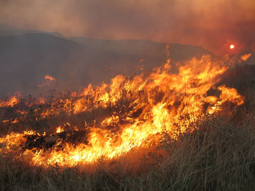 Υπό έλεγχο η πυρκαγιά στο Ντράφι - Media